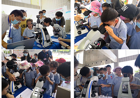 顯微鏡體驗(yàn)