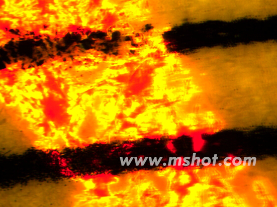 明美體視熒光優(yōu)化朱墨時序鑒定