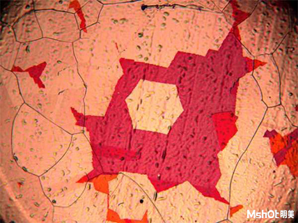 明美金相顯微鏡助力華南師范大學銅片觀察
