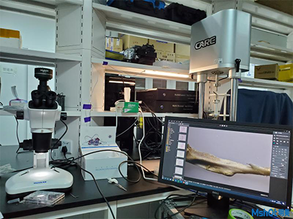 明美體視顯微鏡助力南方科技大學動物骨骼觀察