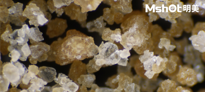 觀察藥材用什么顯微鏡？