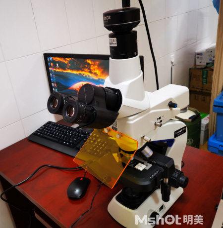 熒光生物顯微鏡應用于呼吸道疾病觀察