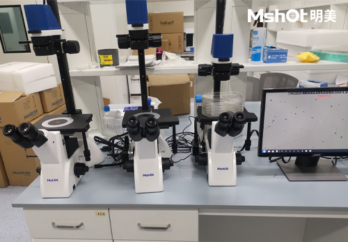 細胞工廠顯微鏡應用于干細胞領域