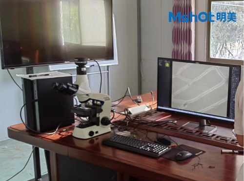 顯微鏡相機用于觀察洋蔥