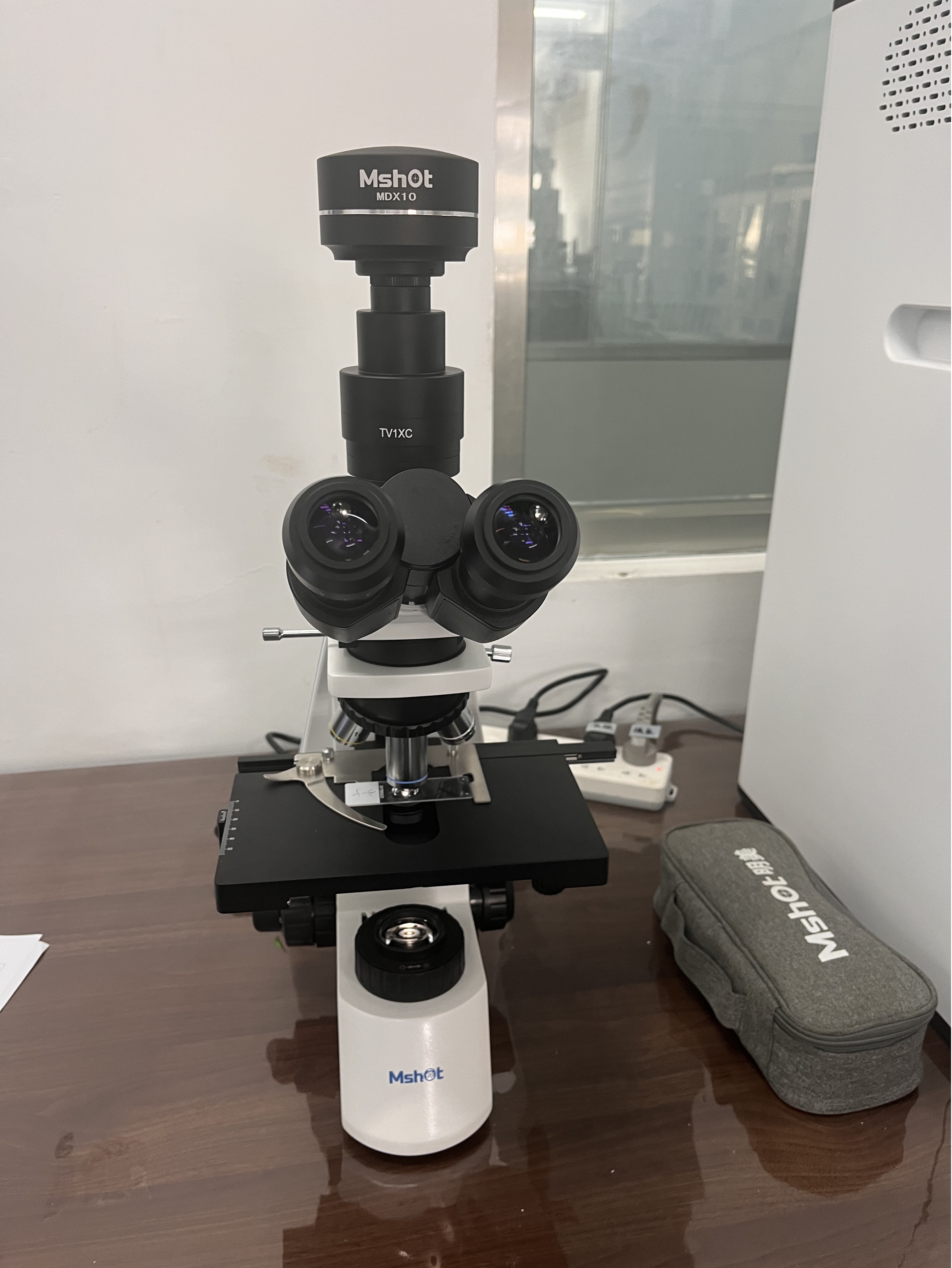 偏光顯微鏡下的淀粉|應用百科