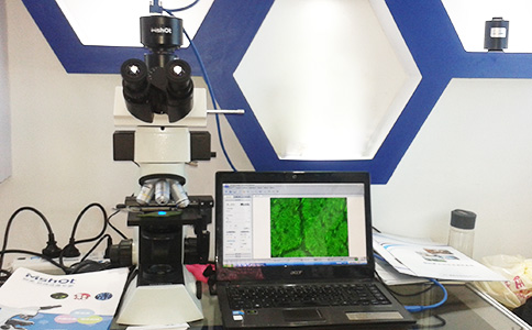 �����t(y��)����չ���F��