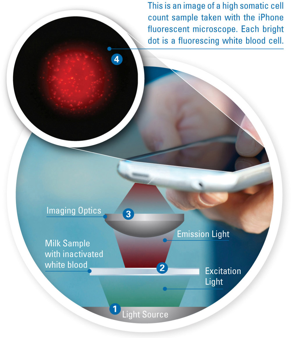 ��yʽ�ɹ��@΢�Rϵ�y(t��ng) ��(g��u)��ԭ��