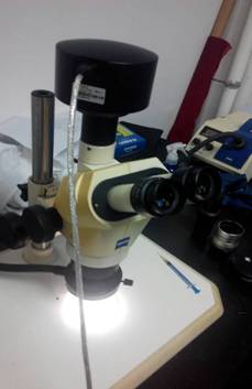 ��˾�wҕ�@΢�RStemi2000-C+MC50