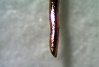 ᘼ��Ĕz�D�@΢�DƬ