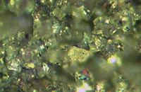 �����Ĕz�D�@΢�DƬ