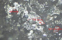 �����Ĕz�D�@΢�DƬ