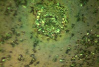 ��W(xu��)�Ĥ�@΢�DƬ