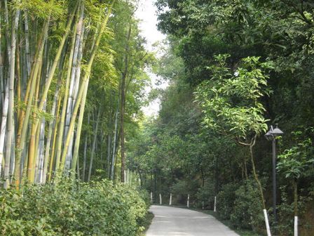 �V������