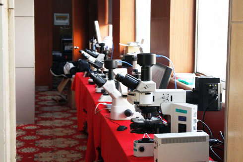 �V�������@΢�RCCDϵ�Юa(ch��n)Ʒ