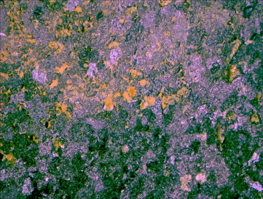 mc50在金相顯微鏡中的色彩還原效果